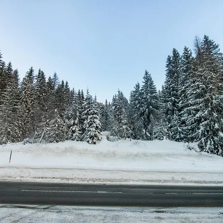 Leni S Mountain Near Ski Area 아파트