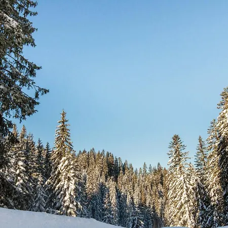 아파트 Leni S Mountain Near Ski Area *