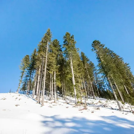 아파트 Leni S Mountain Near Ski Area 디엔텐암호크코니그