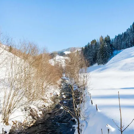 Leni S Mountain Near Ski Area